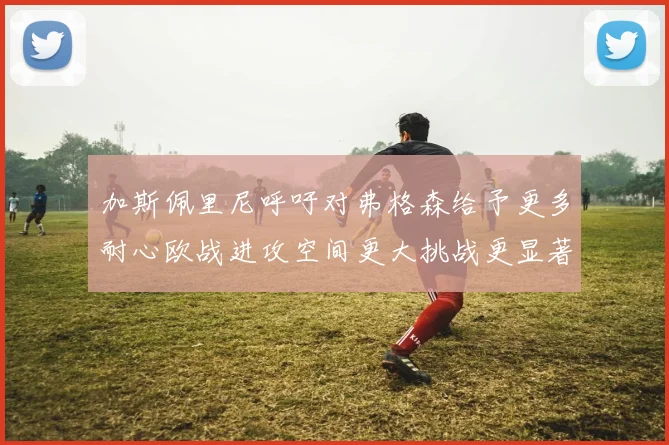 加斯佩里尼呼吁对弗格森给予更多耐心欧战进攻空间更大挑战更显著