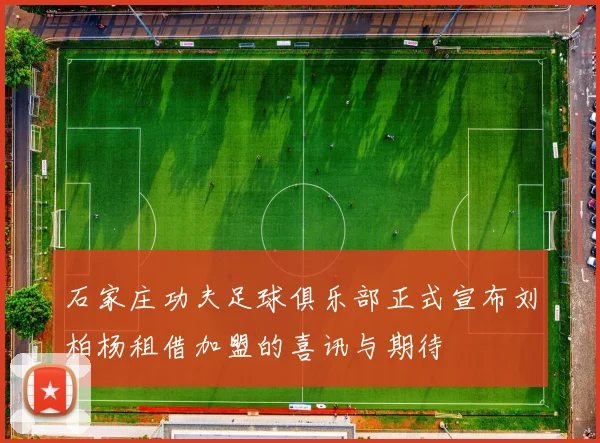 石家庄功夫足球俱乐部正式宣布刘柏杨租借加盟的喜讯与期待