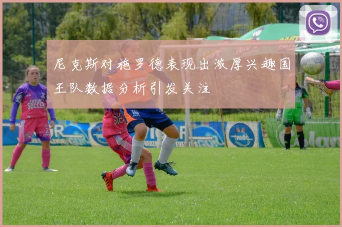 尼克斯对施罗德表现出浓厚兴趣国王队数据分析引发关注