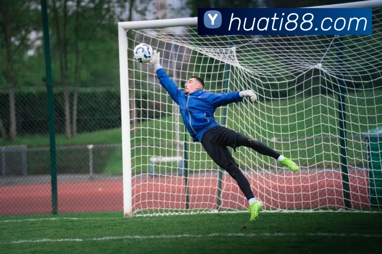 华体会体育APP 封面图